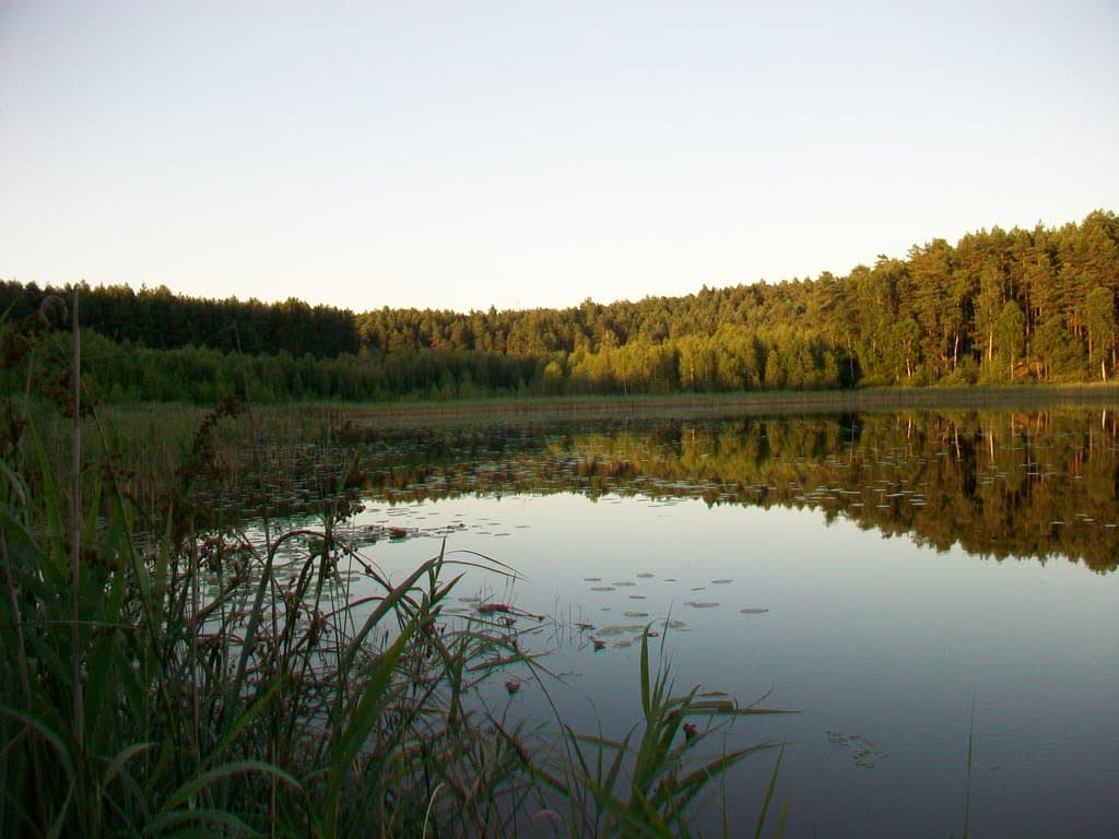 Jezioro Wilcze (Jasne, Zygmuntowskie)