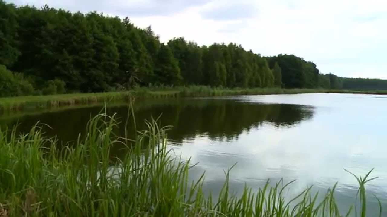 Łowisko Wodna Osada Grzegorzowice