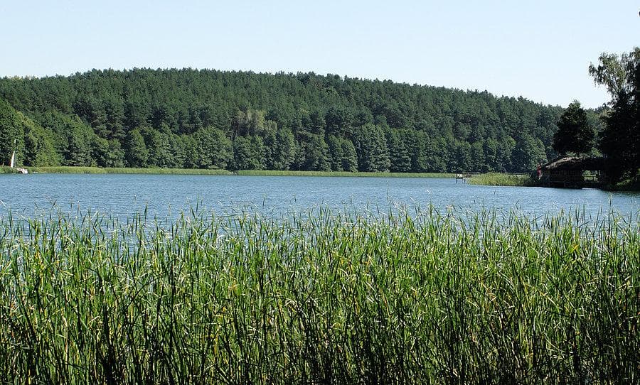 Łowisko Chomiąża Szlachecka (Chomiąskie)