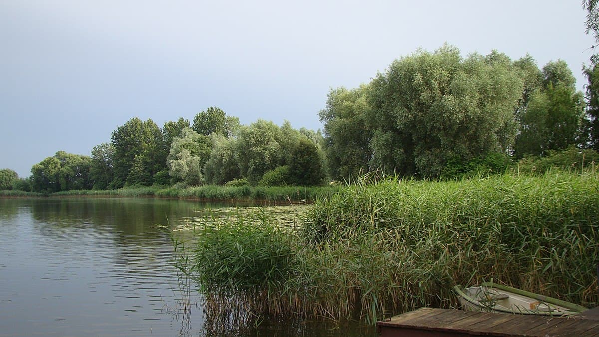 Łowisko Jezioro Gąsawskie i Godawskie