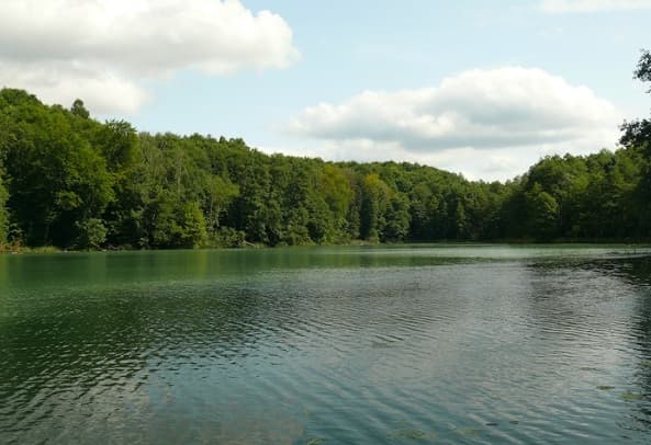 Łowisko Bobrzynek