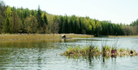 Jezioro Wandzińskie