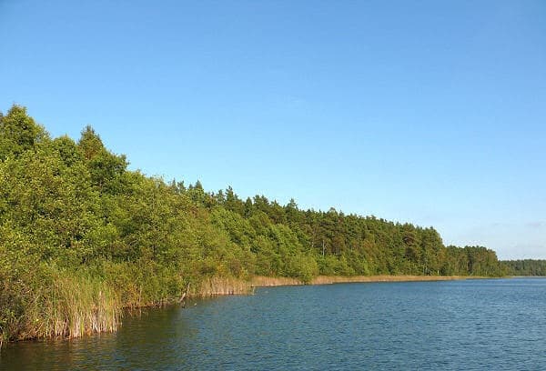 Jezioro Trzcinowe