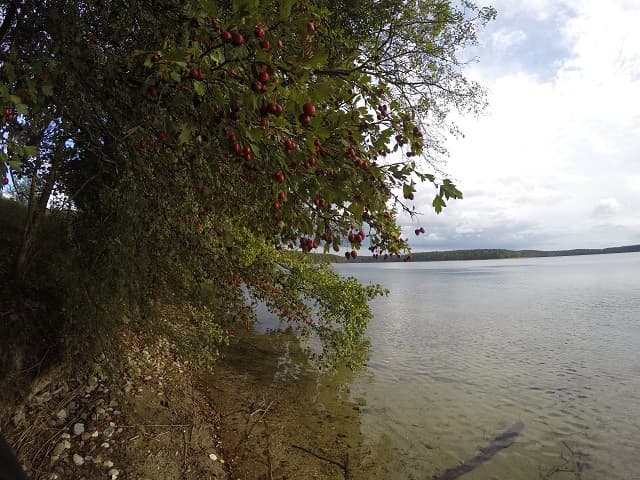 Jezioro Pluszne