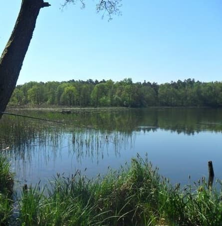 Jezioro Myślice