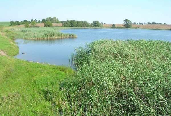 Jezioro Ruskowiejskie