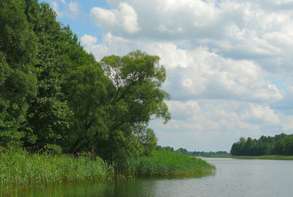 Jezioro Dąbrowa Mała