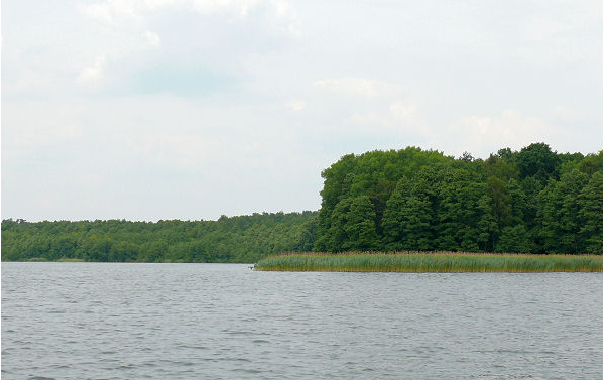 Jezioro Dąbrowa Wielka
