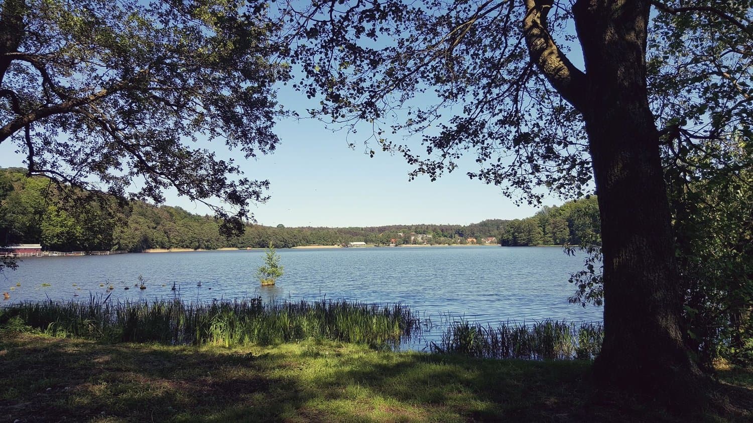 Jezioro Szeląg Mały