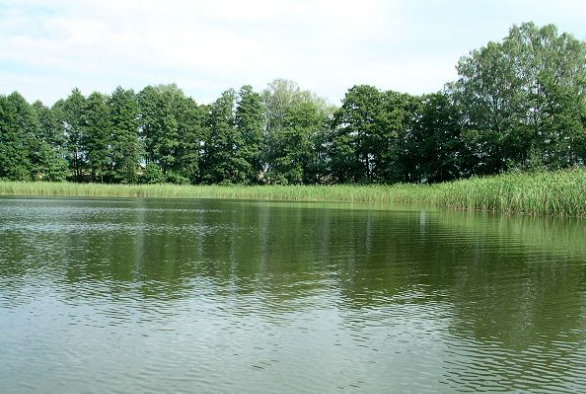 Jezioro Pisz
