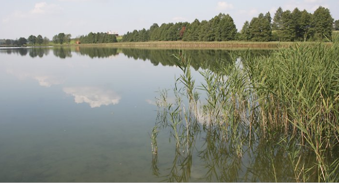 Jezioro Kierzlińskie