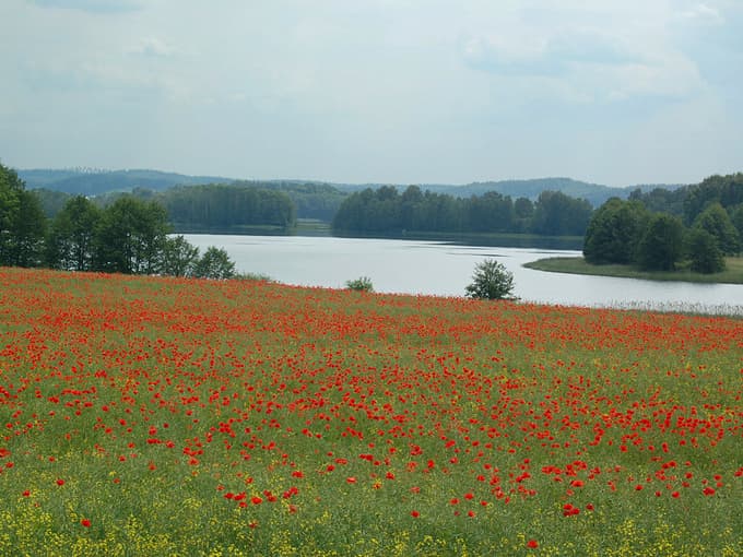 Jezioro Wulpińskie