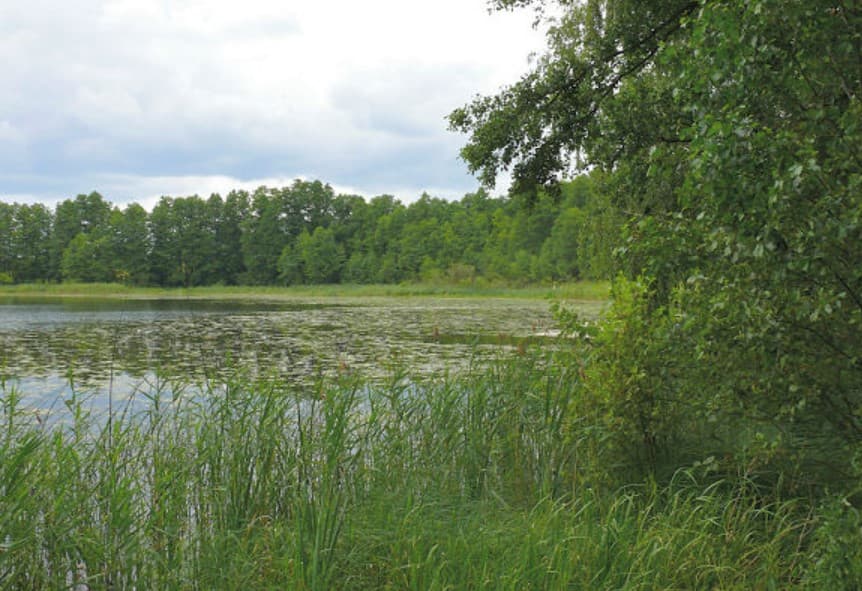 Jezioro Elganowiec