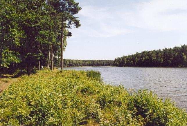 Jezioro Rosnowo