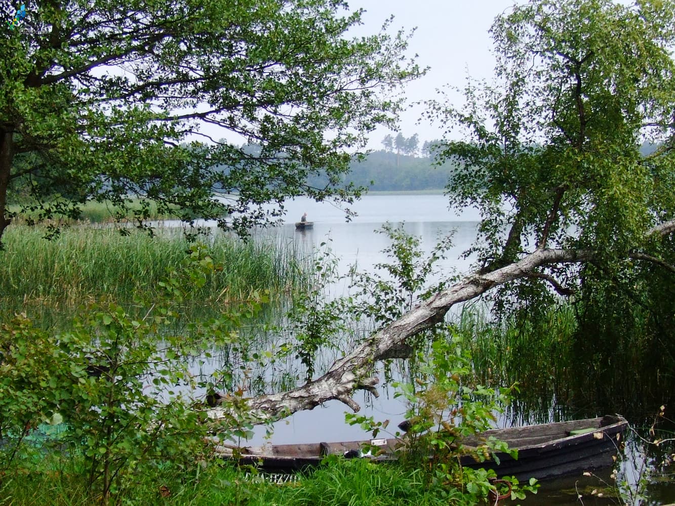 Jezioro Wilczkowo