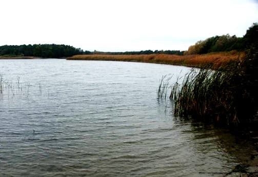 Jezioro Jezuickie