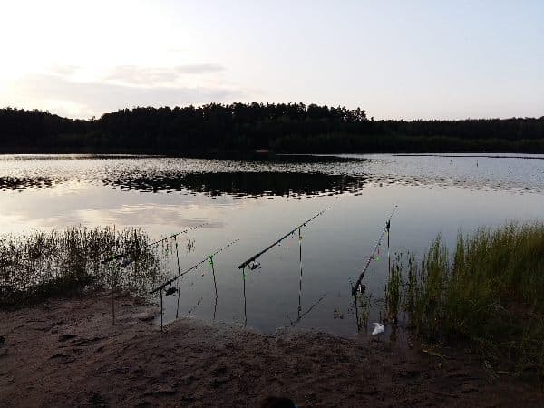 Jezioro Zwórzno