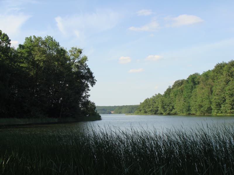 Jezioro Kucki - Klecewskie