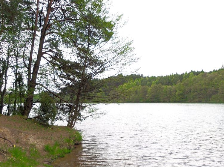 Jezioro Trzebiń