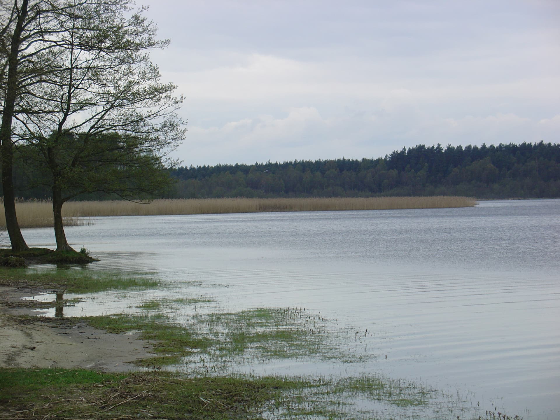 Jezioro Sasek Mały